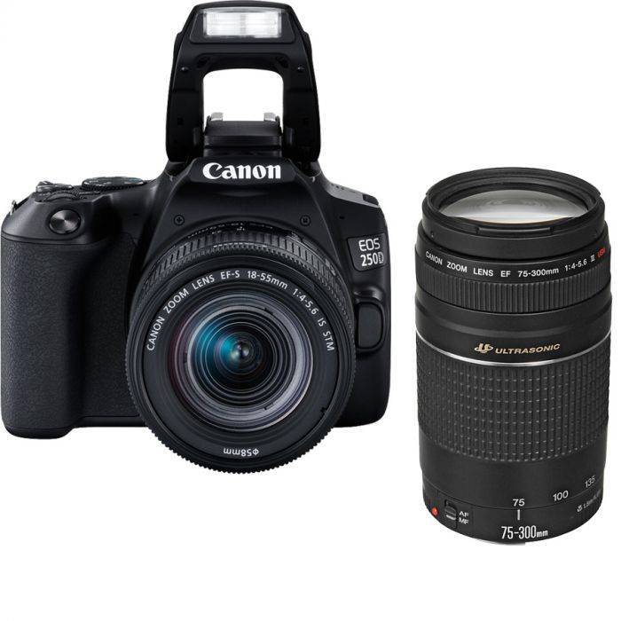 Canon EOS 250D Essential Double Lens Kit - Camera Warehouse